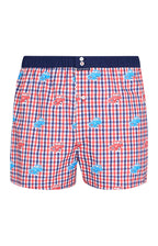Arthur boxershort Le Club n°1146 Citroën Vichy