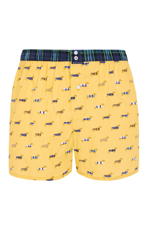 Arthur boxershort Le Club n°1196 Teckel Jaune