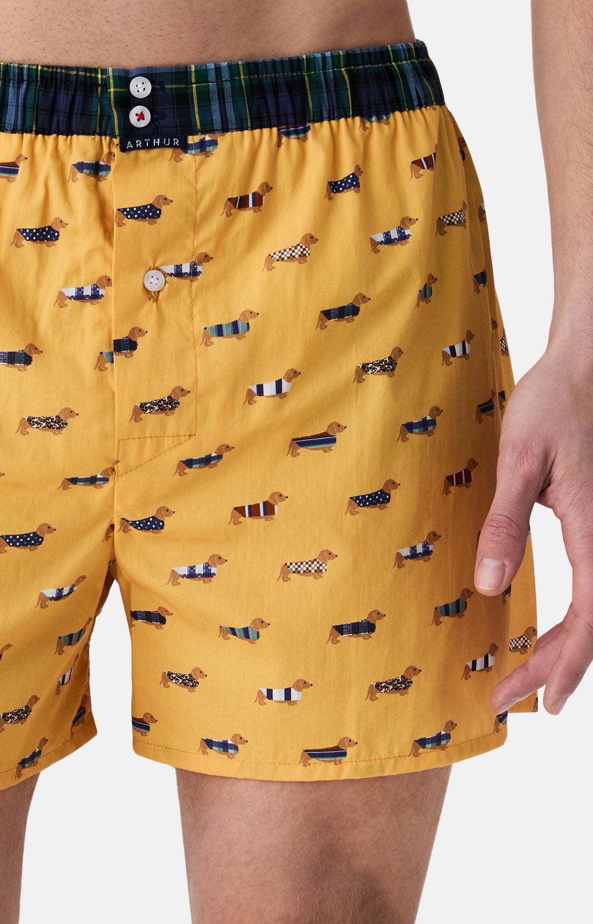 Arthur boxershort Le Club n°1196 Teckel Jaune detail 1