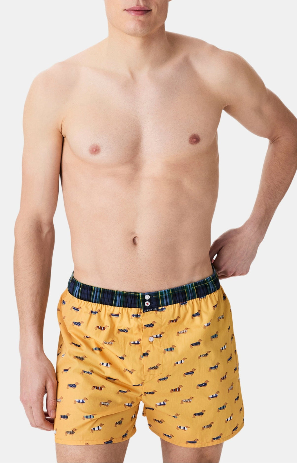 Arthur boxershort Le Club n°1196 Teckel Jaune detail 3