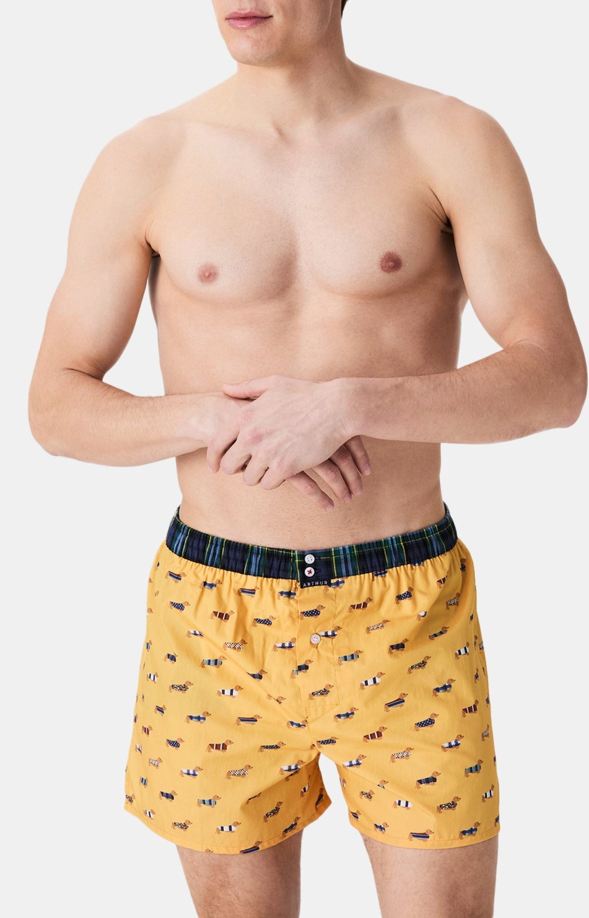 Arthur boxershort Le Club n°1196 Teckel Jaune detail 2