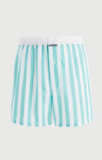 Arthur boxershort Le Club n°1212 Strepen Vert