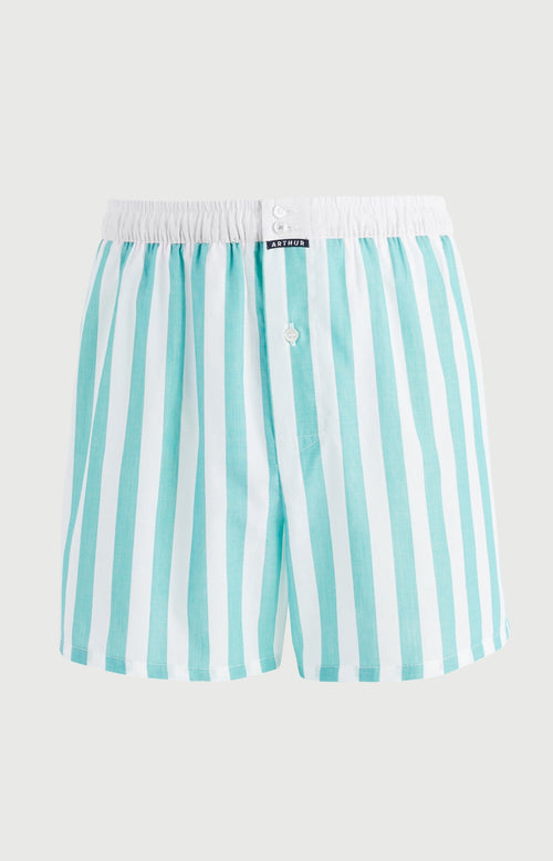 Arthur boxershort Le Club n°1212 Strepen Vert