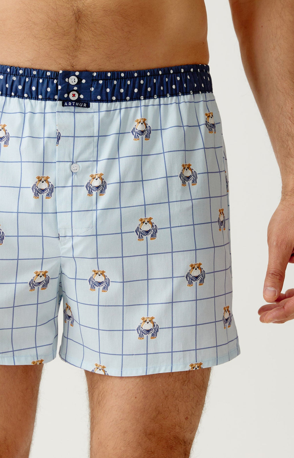 Arthur boxershort Le Club n°1245 Bulldog Ciel detail 3