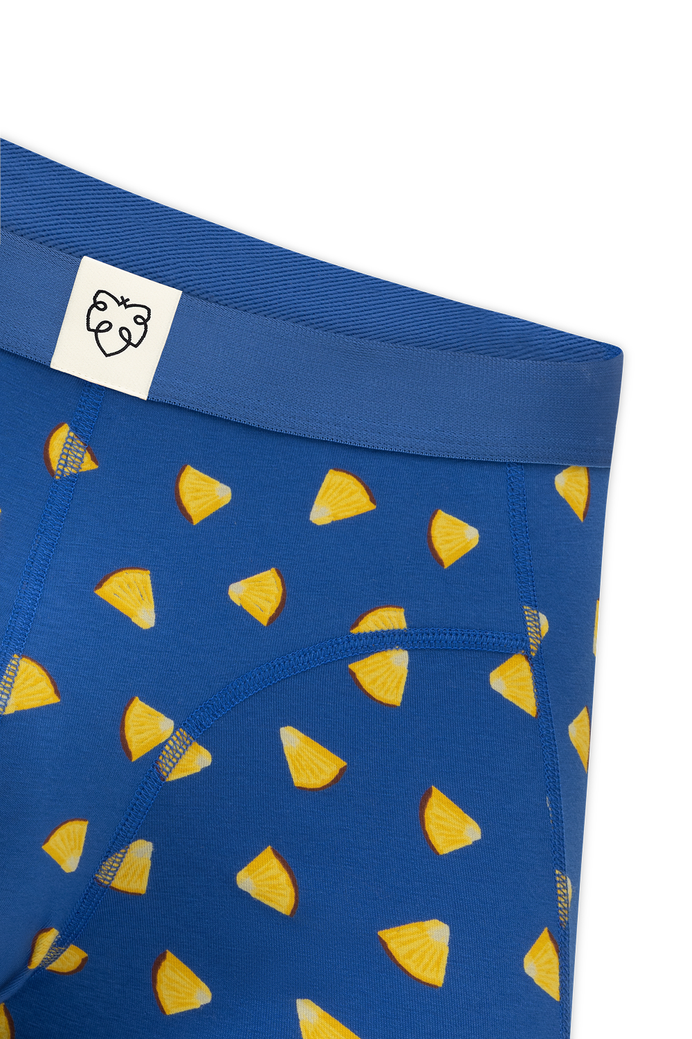 A-dam ACE Boxershort Blue Pineapple Juice detail 2