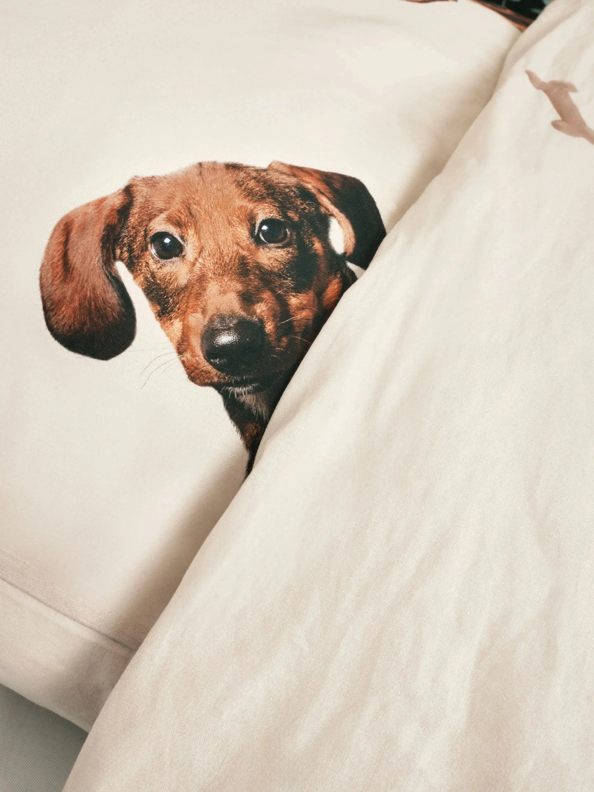 SNURK Dekbedovertrek Dachshund Friends detail 2