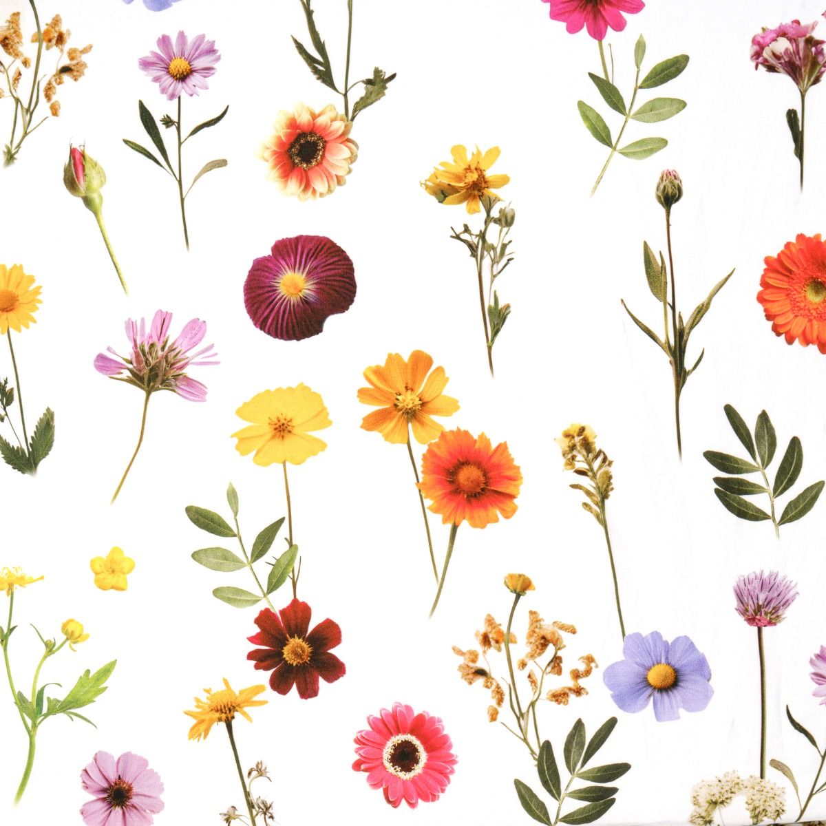Signoria Firenze Dekbedovertrek Prato Wit met bloemen